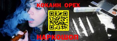 амф Сланцы