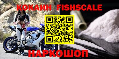 амф Сланцы