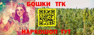 амф Сланцы