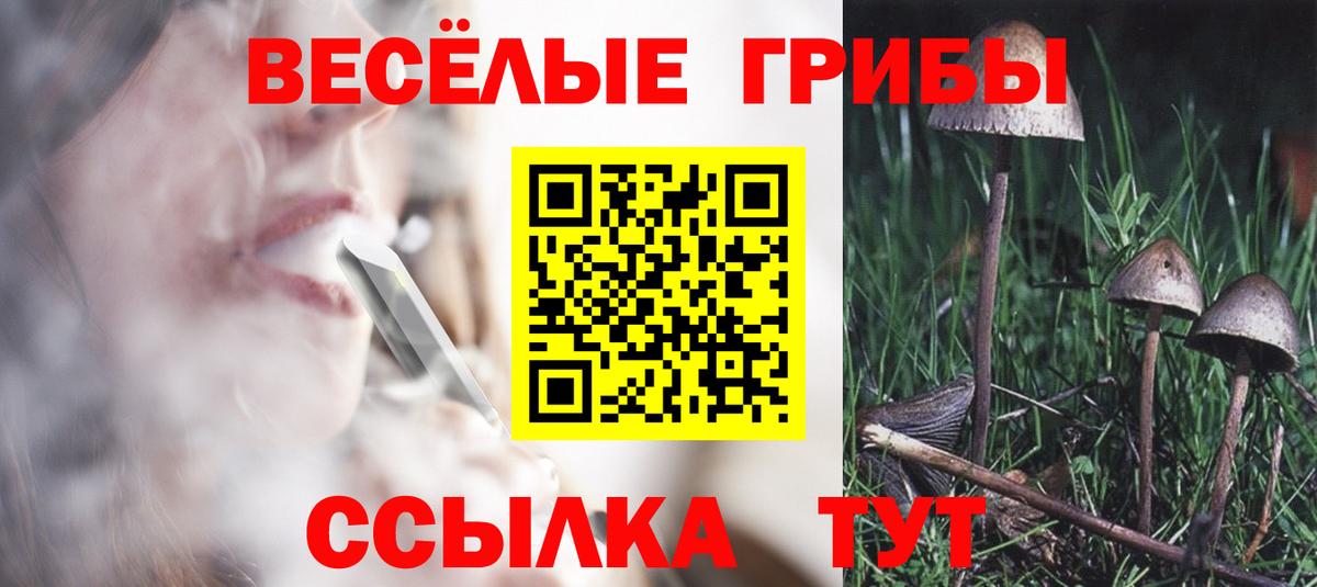 закладка  Псилоцибиновые грибы Cubensis  Вход с VPN  Новый Уренгой  Псилоцибиновые грибы ЛСД 